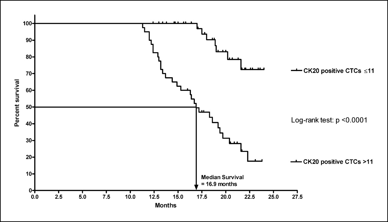 Circulating Tumor Cells as Cancer Biomarkers in the Clinic